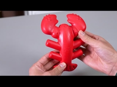 Бостонский лобстер собака жевать игрушку