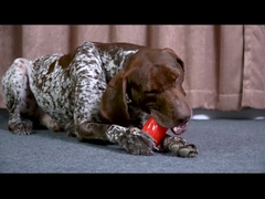 Реалистичные ребра жевательная игрушка - тройно толстый звуковой палок