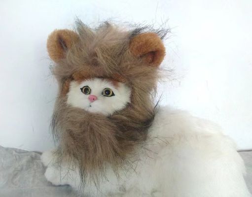 Хорошая цена. Регулируемая и проницаемая кошачий парик Мягкий пушистый и идеальный для всех пород Идеальный для Хэллоуина / косплей онлайн